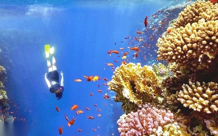 Excursion d'une Journée Snorkeling au Blue Hole et Colored Canyon — view 2