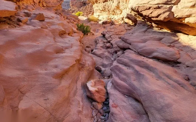 Excursion d'une Journée Snorkeling au Blue Hole et Colored Canyon — view 3