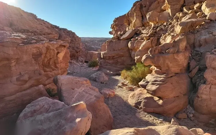 Excursion d'une Journée Snorkeling au Blue Hole et Colored Canyon — view 5
