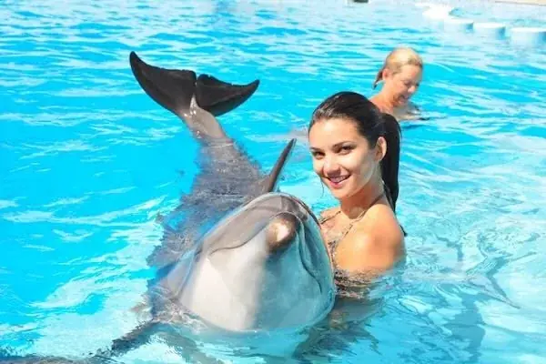 Spectacle de Dauphins en Famille — view 5