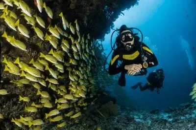 PADI Open Water Diver
