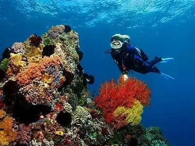 PADI Open Water Scuba Instructor — view 4