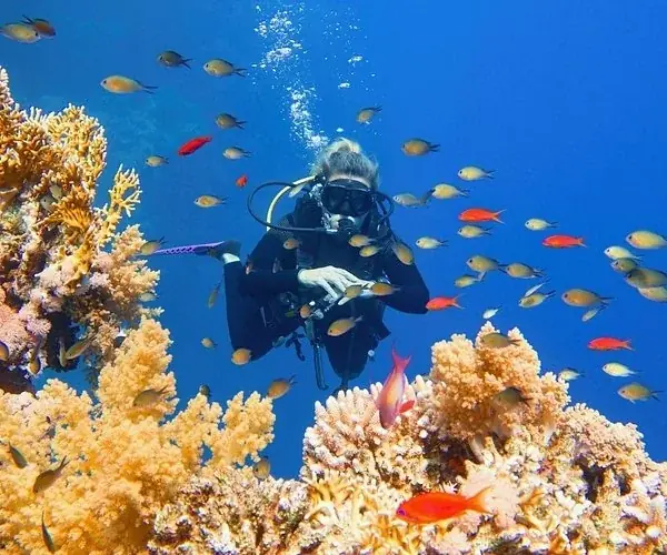 PADI Rescue Diver