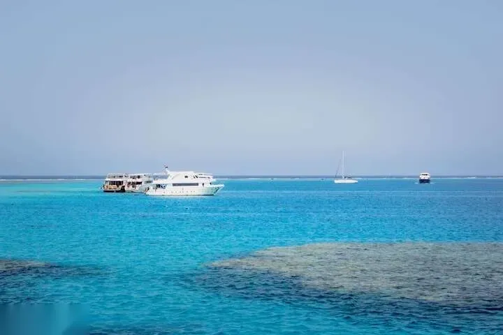 رحلة غطس سطحي إلى جزيرة الجنة — view 4