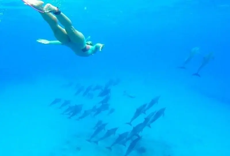 Excursion Privée avec les Dauphins — view 5